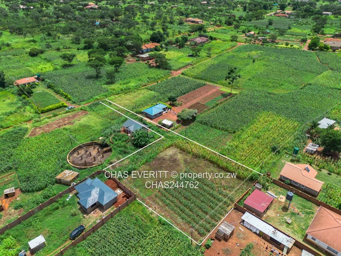 Charlotte brook Stand