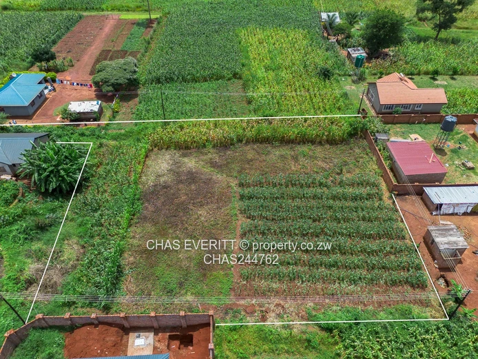 Charlotte brook Stand