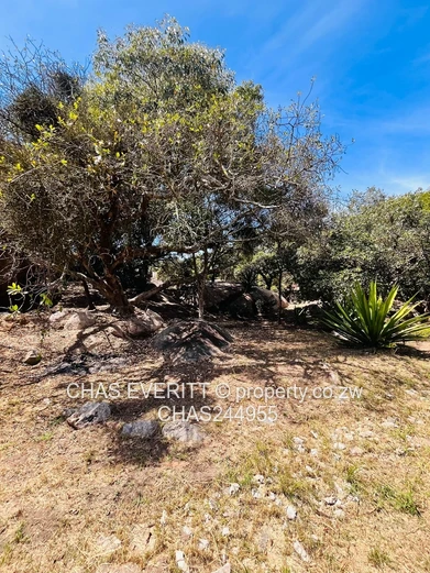 6 Bedroom House To Rent in Greendale