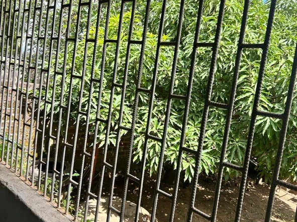 2 Bedroom Flat & Apartment